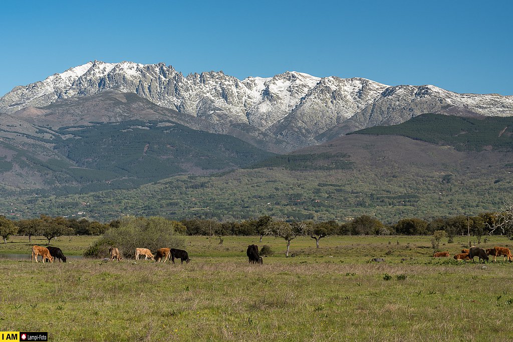 Bergkette Sierra de Gredos